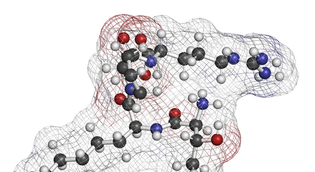 Peptide synthesis