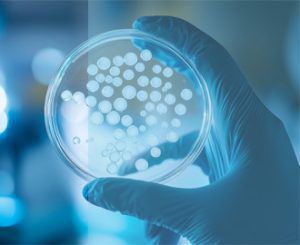 Solo-AI Drug Yet: What That Means for Peptide Chemistry