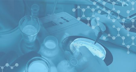 After a Vendor Shutdown: Peptide Project Contingency Checklist
