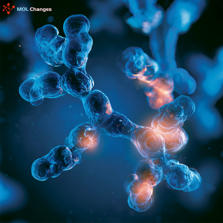 Integrated Peptide Research Workflows: Evidence Beyond Supplier Size