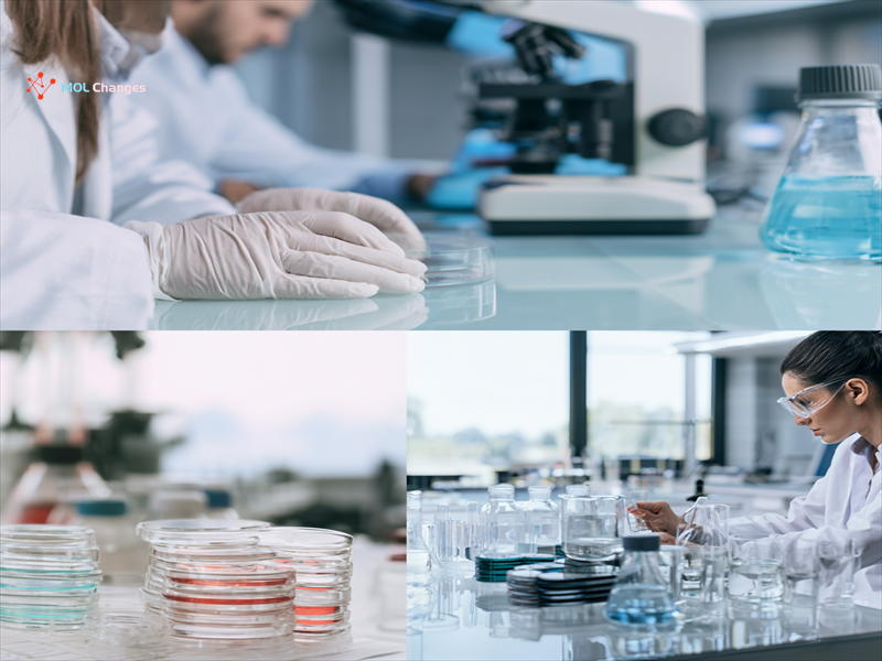 Building a Resilient Peptide Supply Chain: Operational Playbook